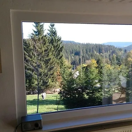 Apartman Pine Cones In The Haslehaus Feldberg