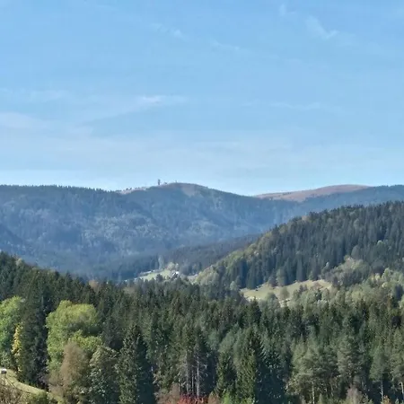 Pine Cones In The Haslehaus Feldberg